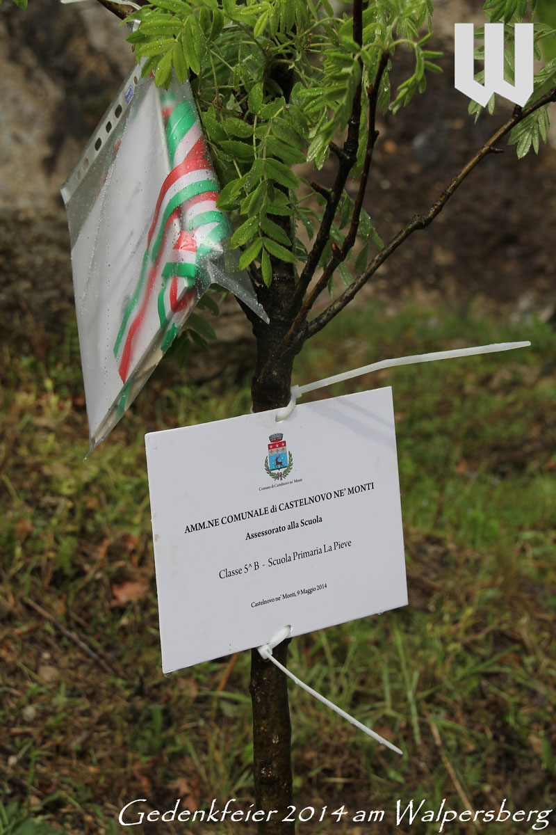 Baumpflanzung Walpersberg 2014